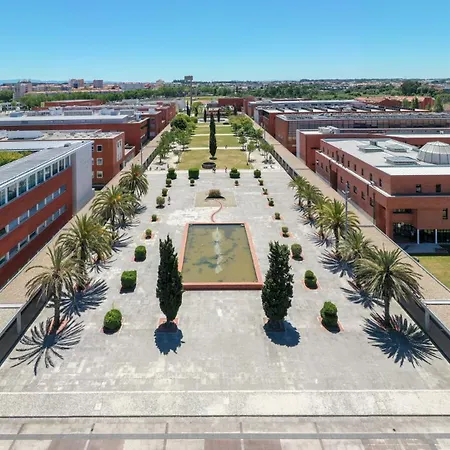 Apartament Avenue *