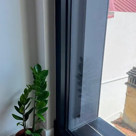 Avenue Apartment
